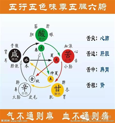 蓝色五行|蓝色在五行里属什么